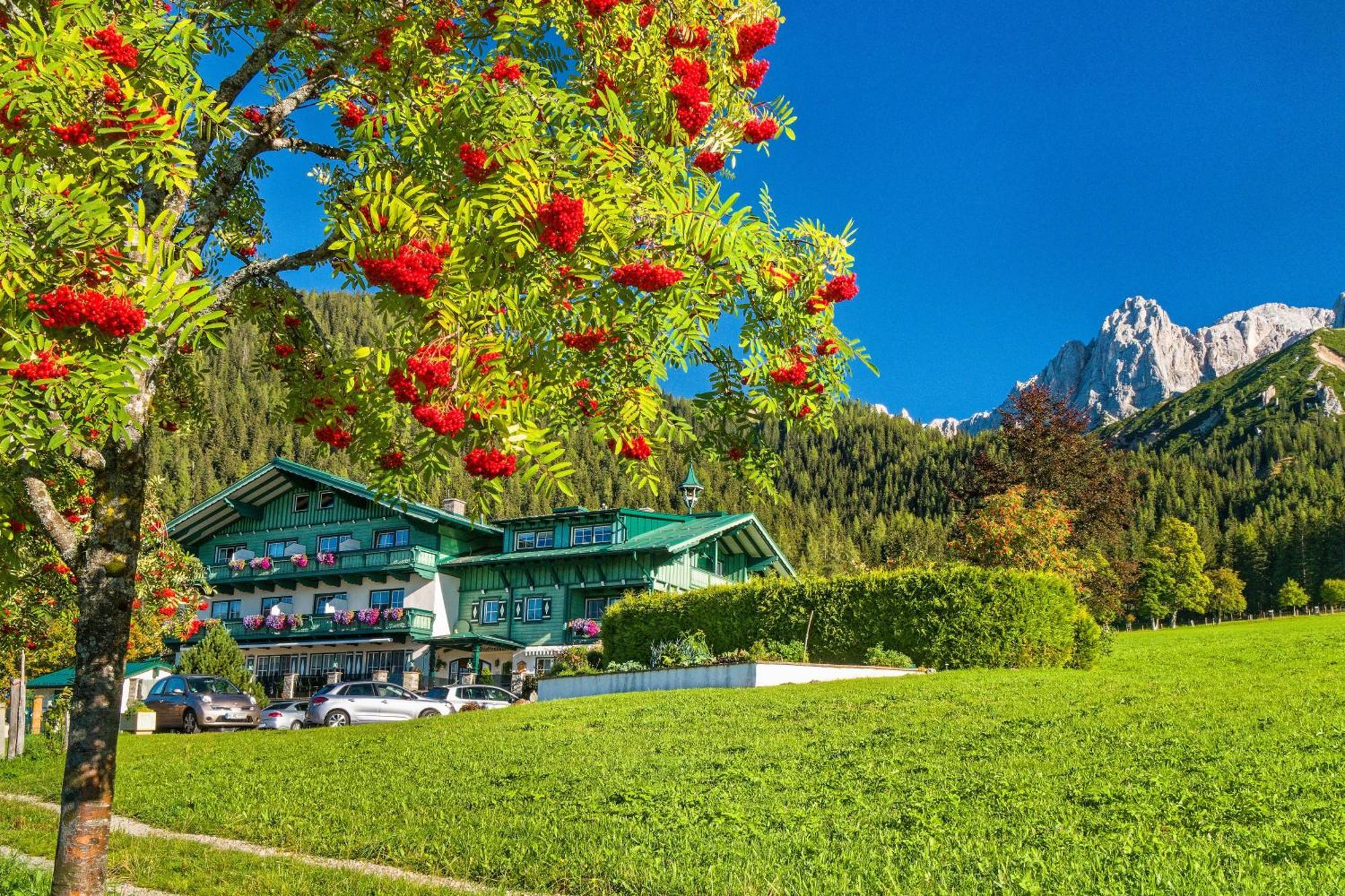 Pension Stoffenbauer Ramsau am Dachstein Exterior photo